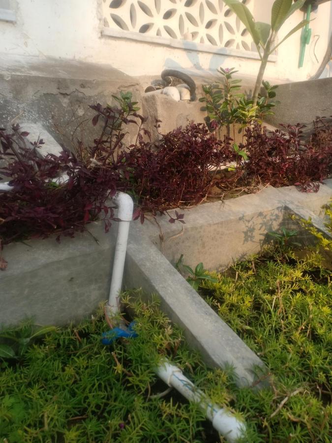 Hn Palace Homestay Agra  Eksteriør bilde